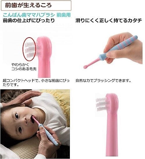 Richell - T.L.I Try Good Evening Tooth Mama Baby Toothbrush For Front Teeth (1 Piece) -  Baby Toothbrush  Durio.sg