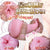 Ride Japan - Hoshiona Star Tornado Onahole (Pink) -  Masturbator Vagina (Non Vibration)  Durio.sg