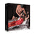 Shots - Advanced Bondage Kit (Black) -  BDSM (Others)  Durio.sg