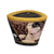 Shunga - Erotic Art Massage Candle Excitation Intoxicating Chocolate 5.7oz -  Massage Candle  Durio.sg