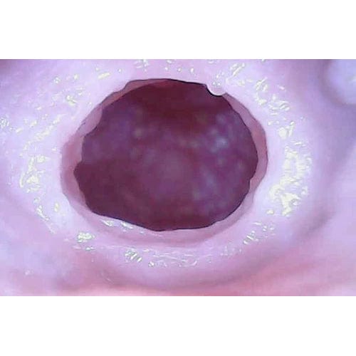 Tomax - Dolphin! Regular Masturbator Onahole (Beige) -  Masturbator Vagina (Non Vibration)  Durio.sg