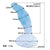 Tomax - Ice Dragon Slim Regular Silicone Dildo (Ice Blue) -  Non Realistic Dildo w/o suction cup (Non Vibration)  Durio.sg