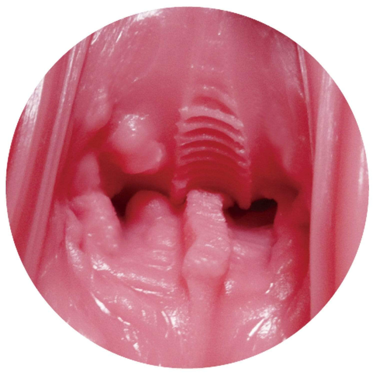 Toys Love - Tenchi Jorigcho Raid Onahole (Pink) -  Masturbator Vagina (Non Vibration)  Durio.sg