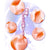 Toysheart - Figure Skating Girl Onahole  (Beige) -  Masturbator Vagina (Non Vibration)  Durio.sg