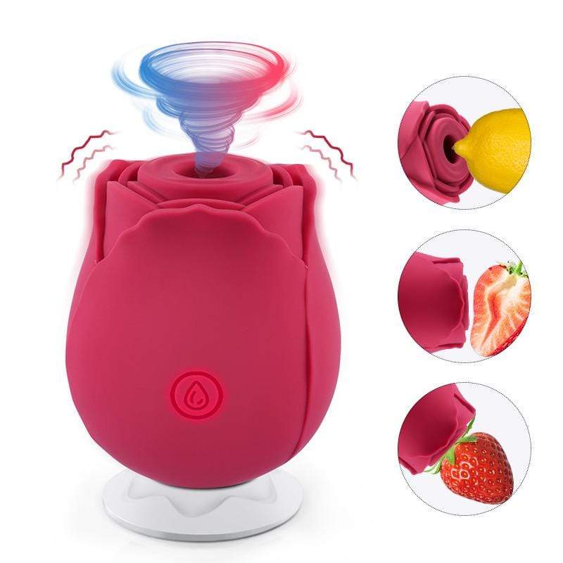 Tracy's Dog - Rosie Vibrator Clitoral Air Stimulator (Pink) -  Clit Massager (Vibration) Rechargeable  Durio.sg