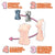 Wild One - Real Body 3D Bone System D Cup Yura Anagawa Doll 9kg (Beige) -  Doll  Durio.sg