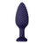 Zero Tolerance - Wicked Twister Remote Control Rechargeable Anal Plug (Purple) -  Remote Control Anal Plug (Vibration) Rechargeable  Durio.sg