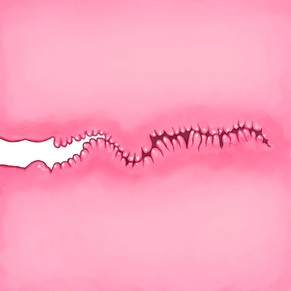 Tomax - Virgo Phantasma Male Masturbator Onahole Durio.sg