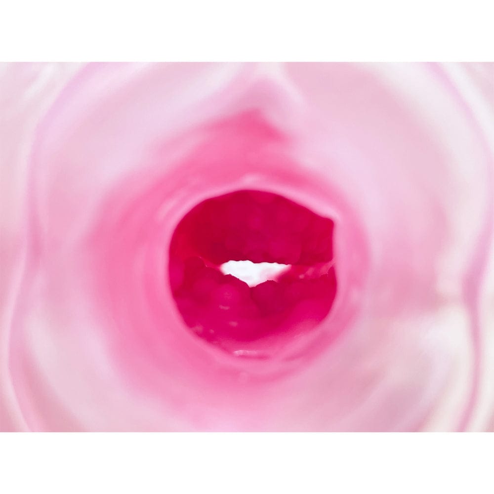Peach Toys - Kaku Meiki DX Salmon Roe Coaster Onahole Masturbator (Pink) PCT1016 Durio.sg