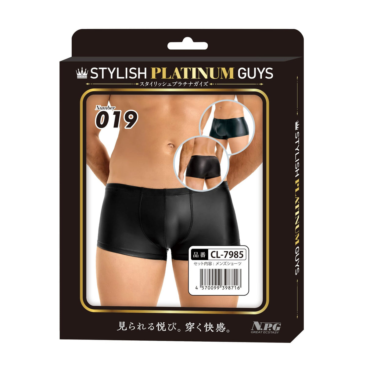 Stylish Platinum Guys - Men's Sheer Underwear Collection Durio.sg