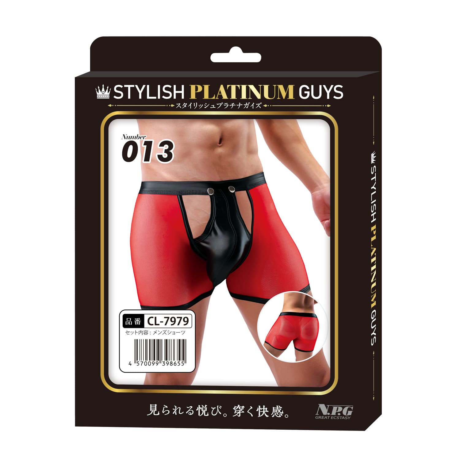 Stylish Platinum Guys - Men's Sheer Underwear Collection Durio.sg
