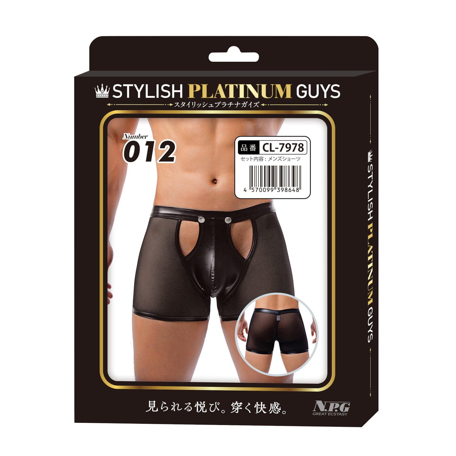 Stylish Platinum Guys - Men's Sheer Underwear Collection Durio.sg