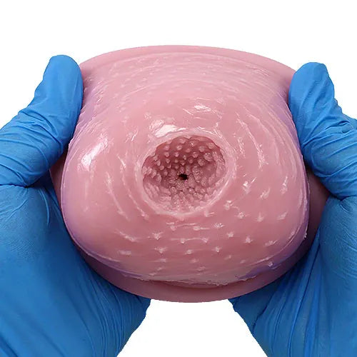Tomax - Witch's Familiar Echo Textured Male Masturbator Onahole (Beige) TM1094 Durio.sg