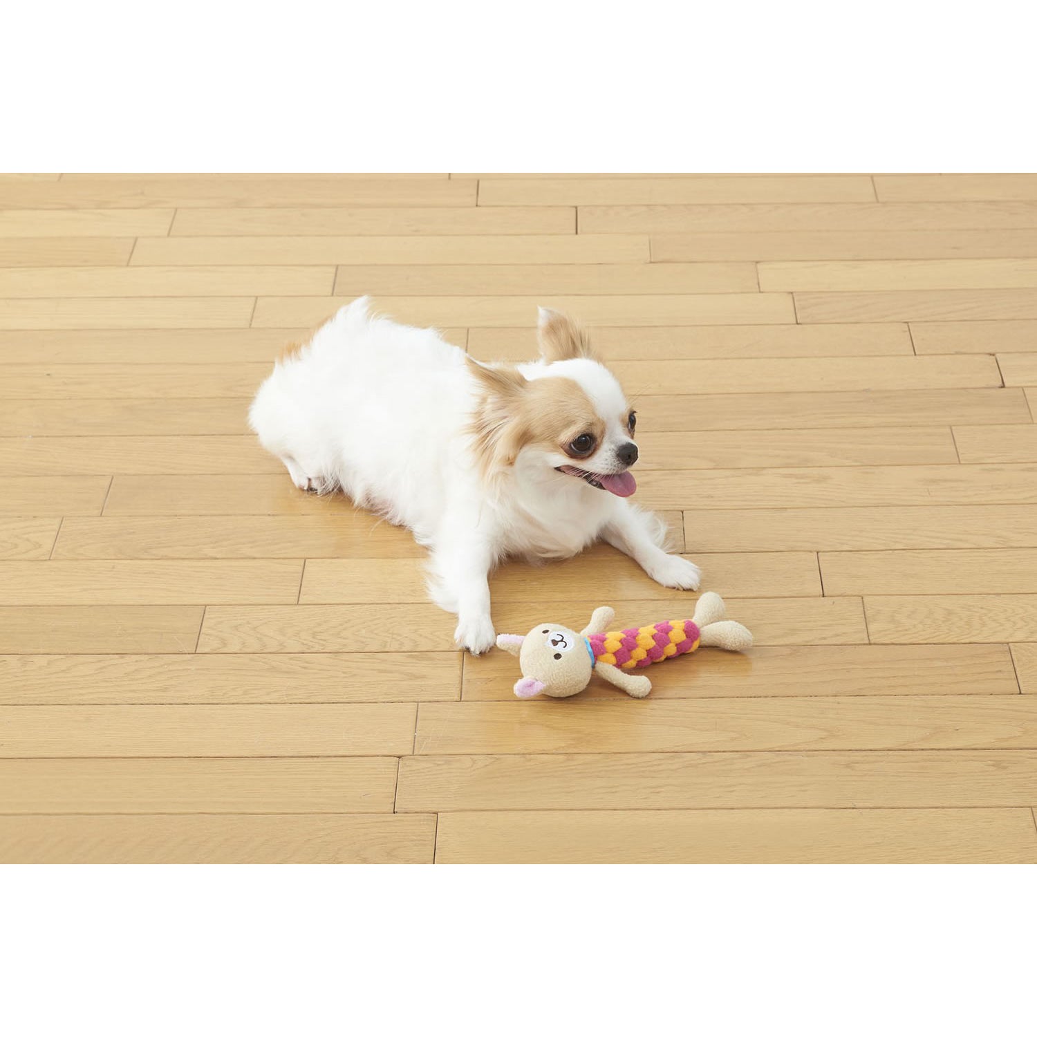 Bonbi Alcon - Dental Animal Dog Toy